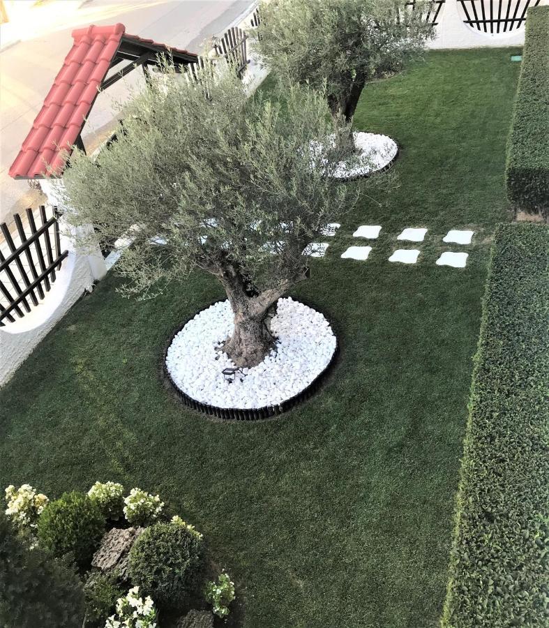 Amaryllis Luxury Rooms Platamonas Exteriör bild