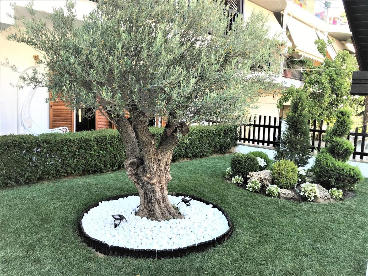 Amaryllis Luxury Rooms Platamonas Exteriör bild